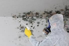 Best Commercial Mold Inspection in Minier, IL